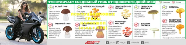 альфа пвп Карталы