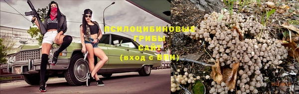 альфа пвп Карталы
