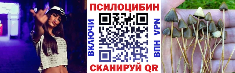 Купить где  Калач  Псилоцибиновые грибы GOLDEN TEACHER 